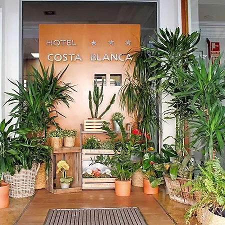 Mr Costa Blanca Denia