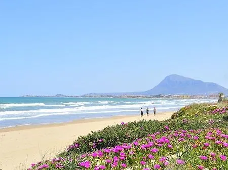Mr Costa Blanca 酒店 德尼亚