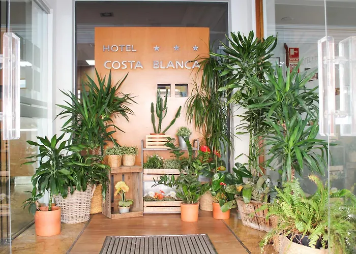 Hotel Mr Costa Blanca 3*